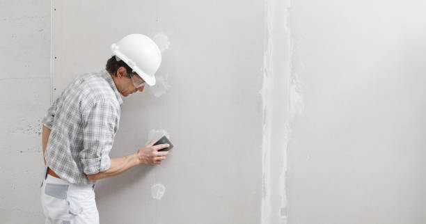 Best Drywall Sanding and Smoothing  in New Tazewell, TN